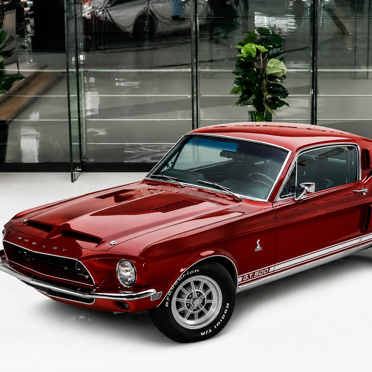 Ford Shelby